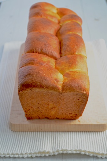 Brioche brood